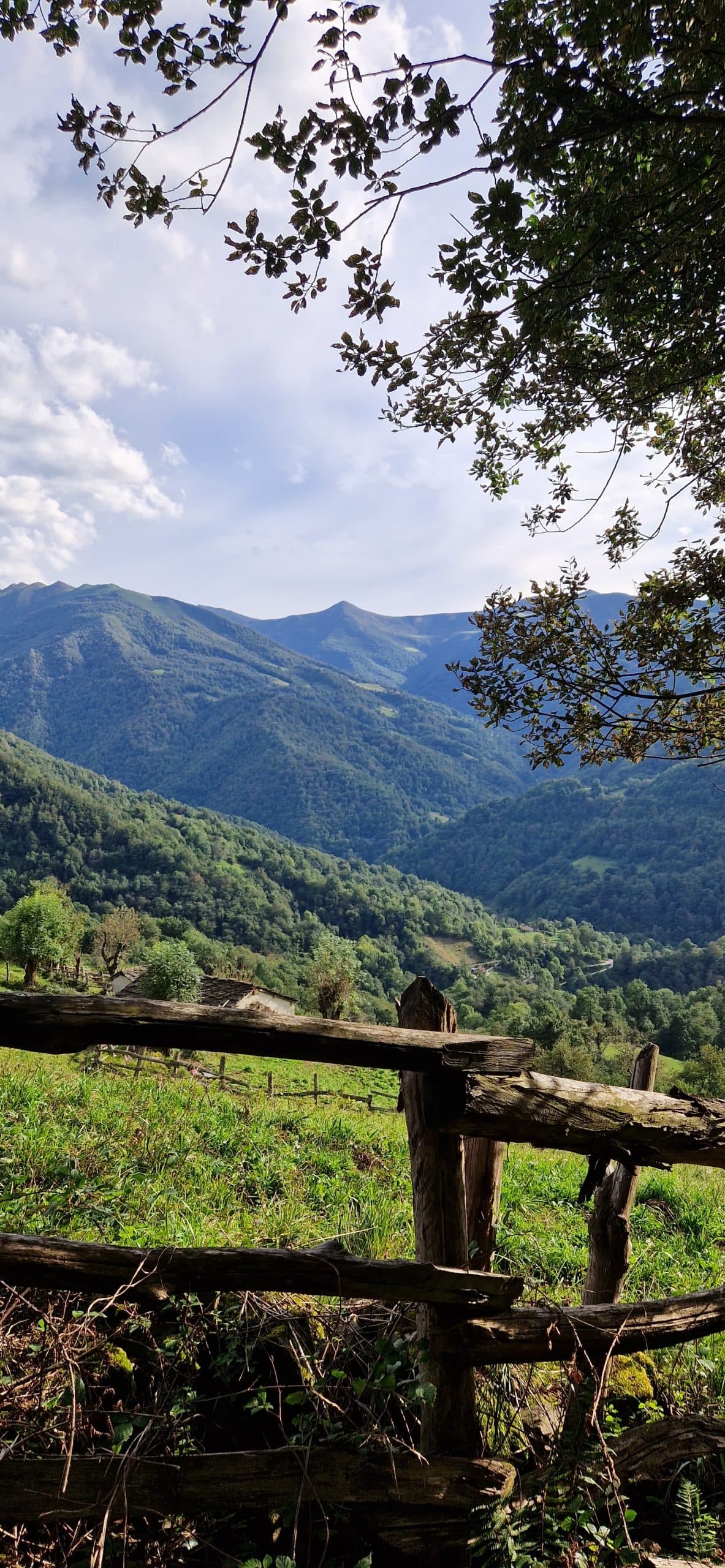 Apartamentos rurales adheridos al Bono Turismo Asturias 2026 en Aller - imagen 10