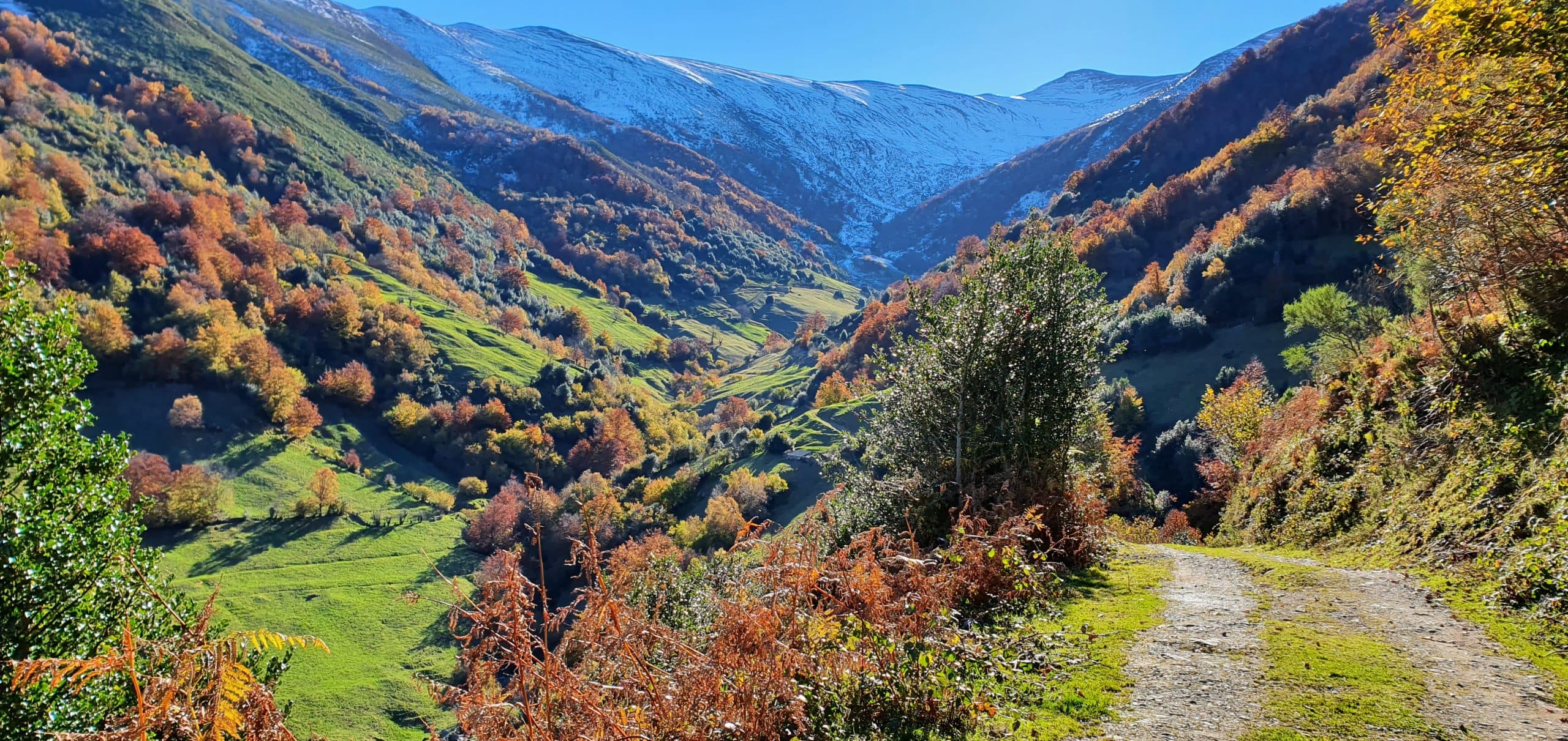 Apartamentos rurales adheridos al Bono Turismo Asturias 2026 en Aller - imagen 3