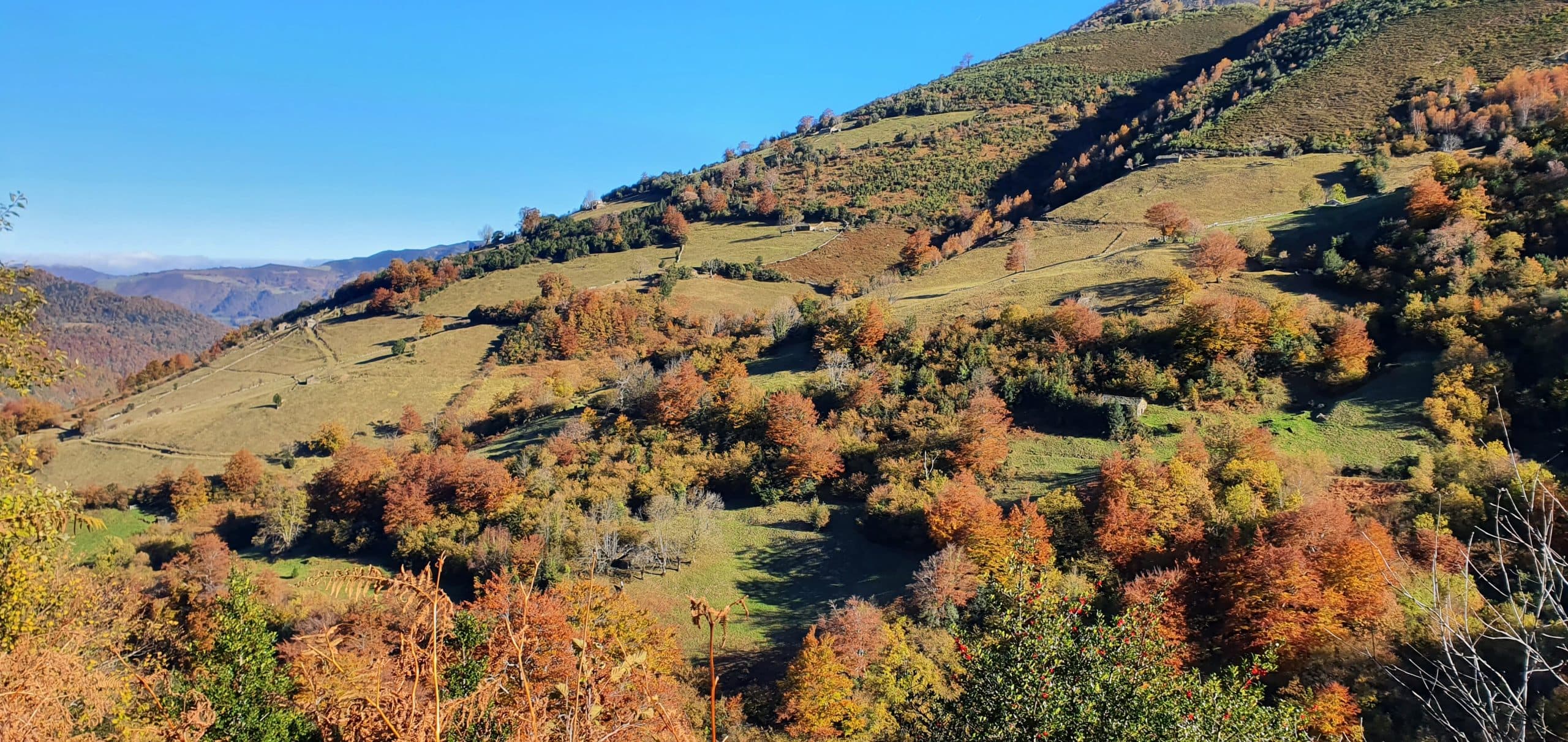 Apartamentos rurales adheridos al Bono Turismo Asturias 2026 en Aller - imagen 2