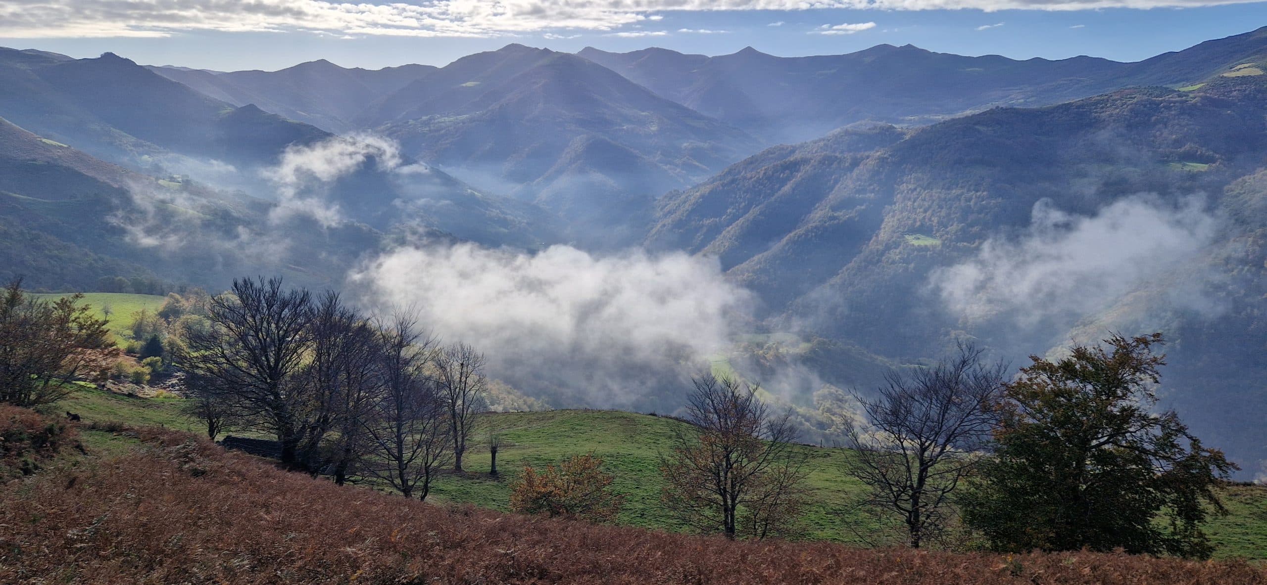 Apartamentos rurales adheridos al Bono Turismo Asturias 2026 en Aller - imagen 4